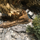 King Ghidorah leaves a path of destruction.